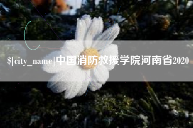 响水中国消防救援学院河南省2020